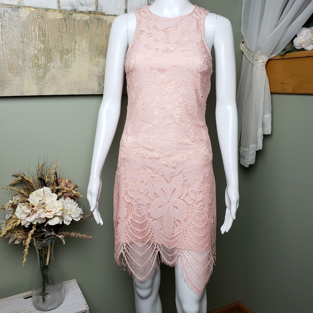 Francesca's Gorgeous Pink Sleeveless Scalloped Lace Dress